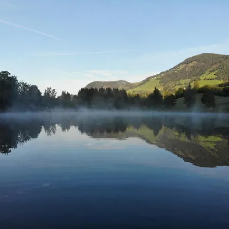 Lakeside Appartments Goldegg